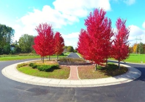 347 Cherry Hill Street, Valparaiso, Indiana, ,Land,For Sale,Cherry Hill,NRA834414 347 Cherry Hill Street, Valparaiso, Indiana, ,Land,For Sale,Cherry Hill,NRA834414