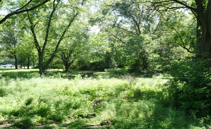 P1111370