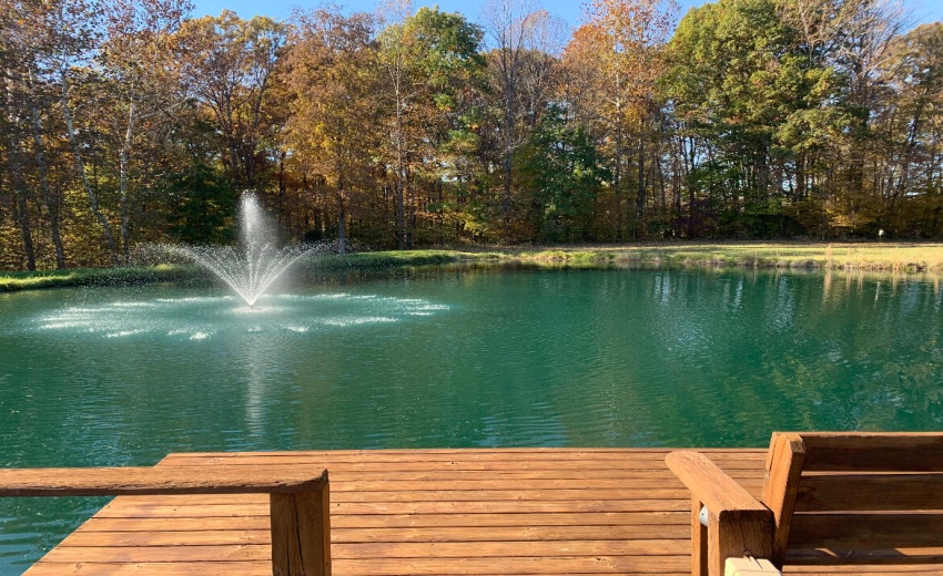 original-FB827535-7EE4-4777-9DB6-4FA43A4