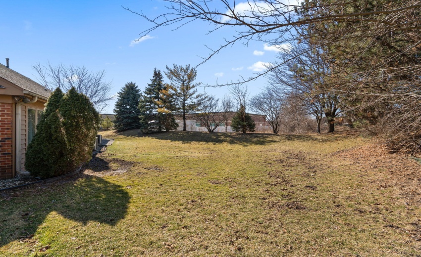 27-web-or-mls-DSC03189