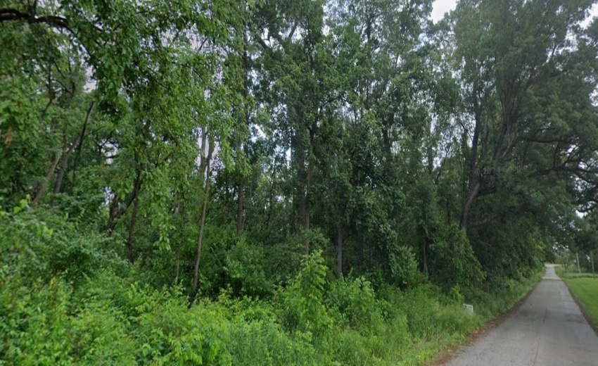 Screenshot 2026-03-01 154816