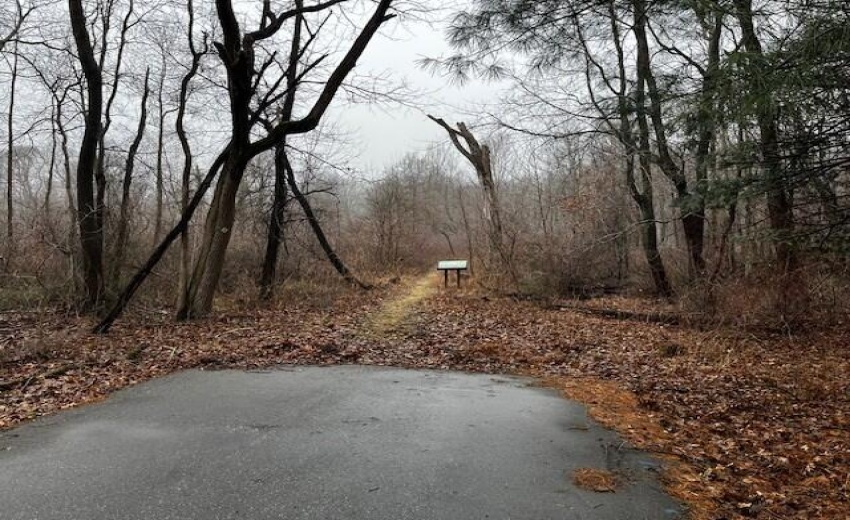 start of Shirley Heinz