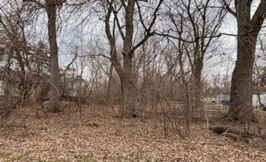 B199651B-AAC9-4EC3-BEF6-7F17EFC37552 (1)