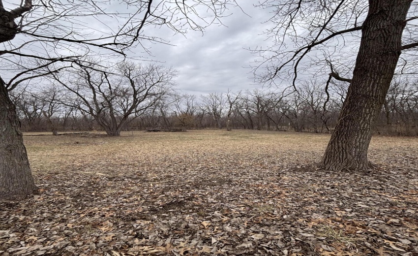 F223B2A9-36CE-4B4F-971F-A233F961DA47 (1)