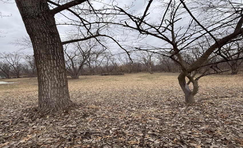 73B867A8-3002-4F67-A278-49E39B3F81D9 (1)