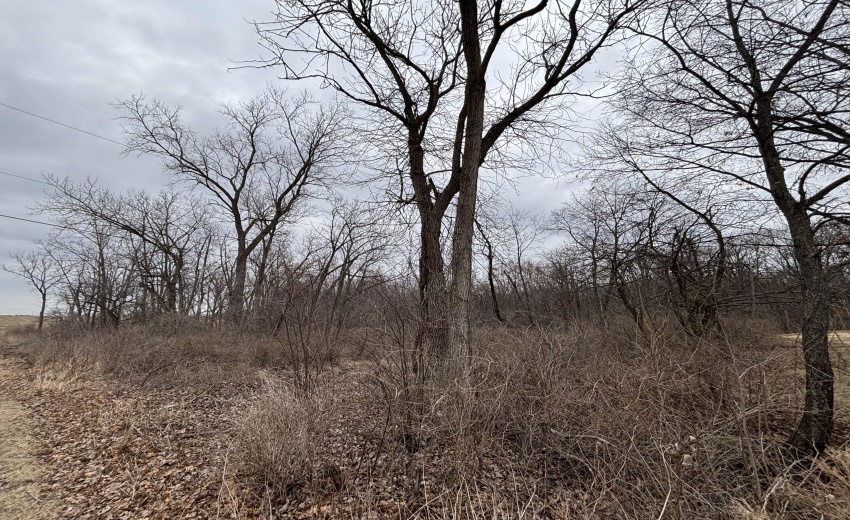 C213076E-8DB9-418A-9150-0FC79DE85F1F