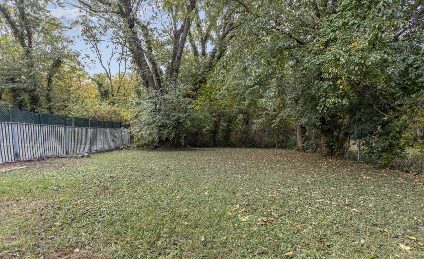 Yard