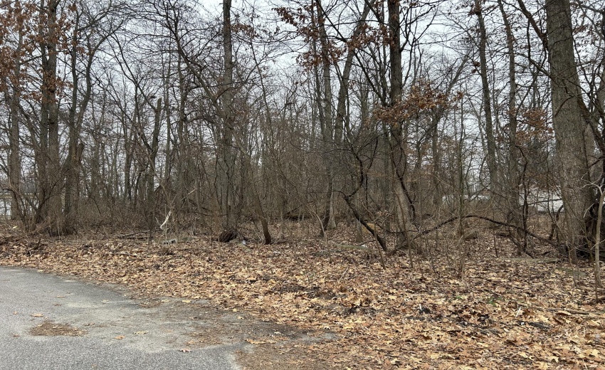 Pic1-Oakland(Williams)