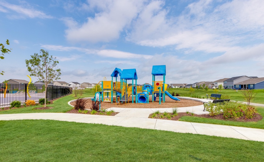 p Neighborhood Amentities