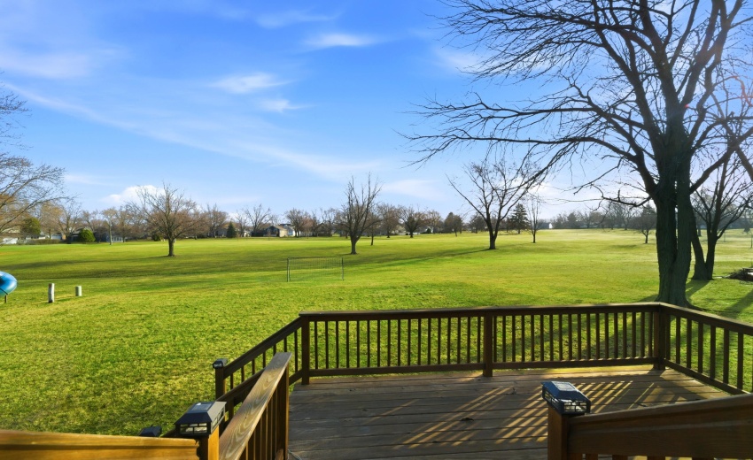 Back Deck/Back Yard