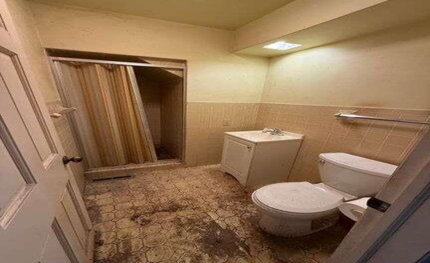 Id2LX3n0VtPRJRV7bcnpnYLP