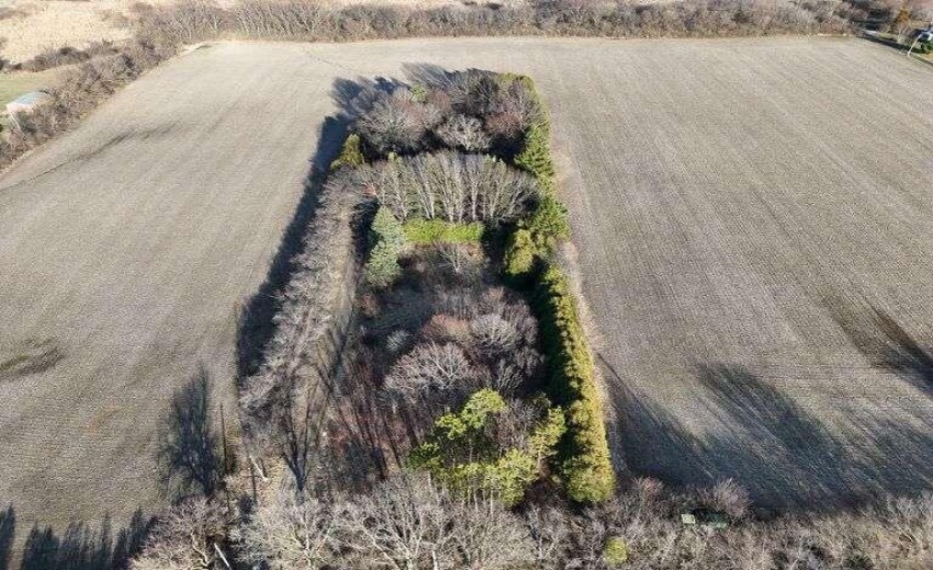 7jAMqu8PVjNtWo6MpCJ084Ri