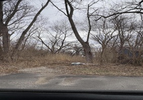4401 Mckinley Street, Gary, Indiana, ,Land,For Sale,Mckinley,NRA835422