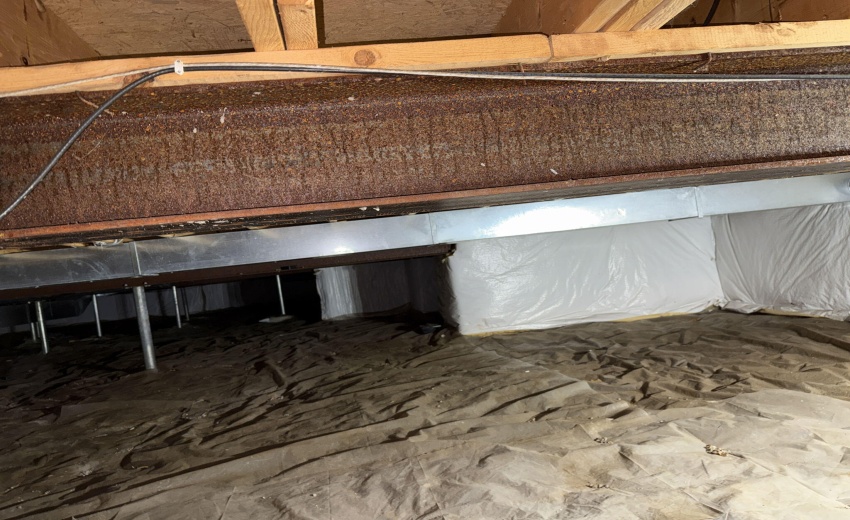 54-web-or-mls-IMG_8133