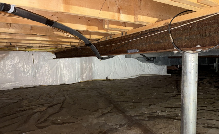 55-web-or-mls-IMG_8132