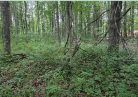 1300 N Road, Chesterton, Indiana, ,Land,For Sale,N,NRA835519 1300 N Road, Chesterton, Indiana, ,Land,For Sale,N,NRA835519