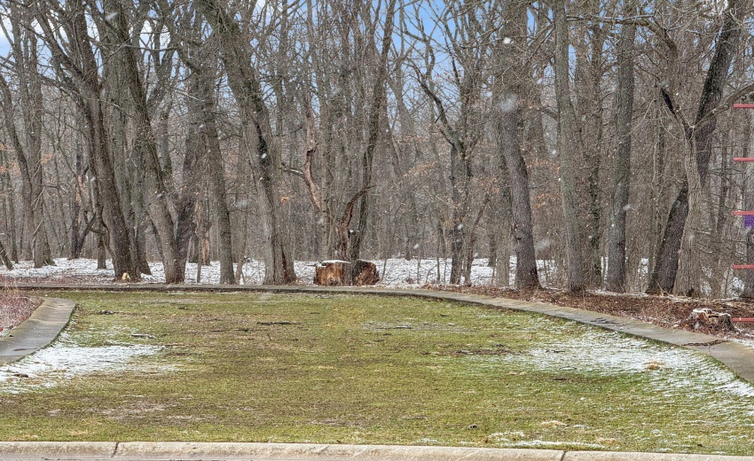 6-web-or-mls-Photo Mar 16 2026, 12 40 11