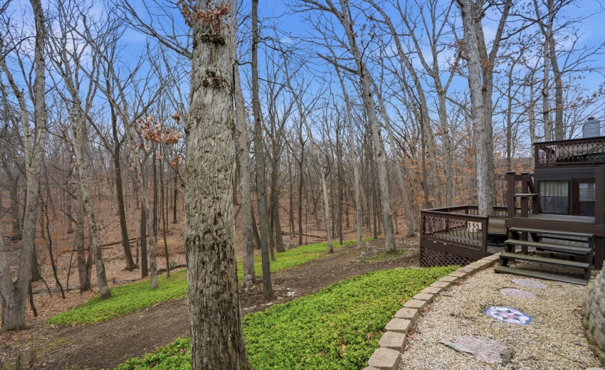 shorewood%20forest-286