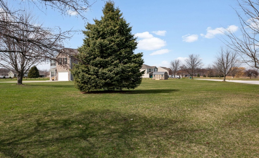 19-web-or-mls-001 (19)