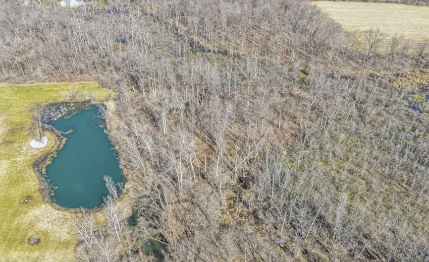 81-web-or-mls-1137-n-475