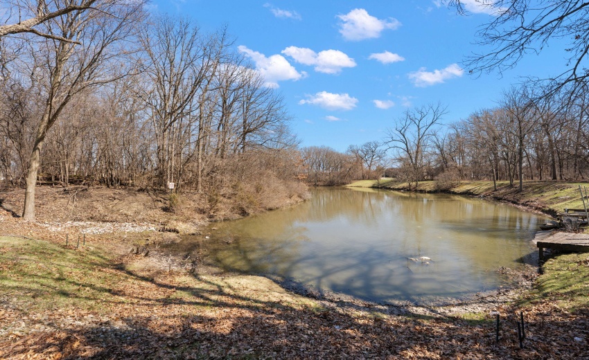 29-web-or-mls-DSC00464