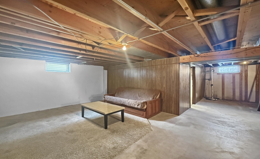 Basement living/storage area