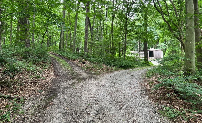 Screen Shot 2026-03-20 at 10.35.41 AM