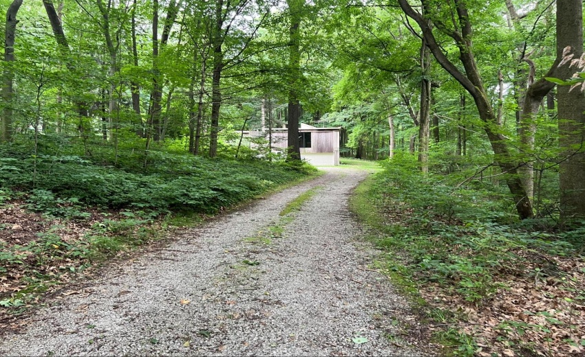 Screen Shot 2026-03-20 at 10.43.34 AM