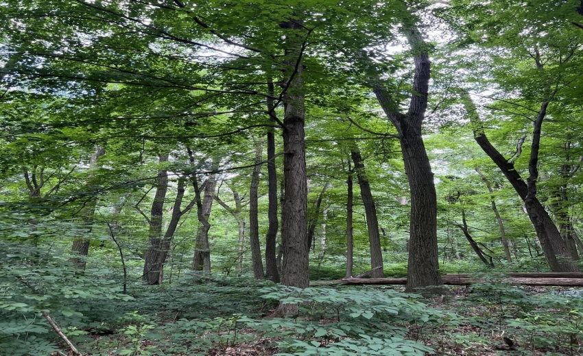 84F928FA-2834-4DA7-A023-9DB1F7320F78