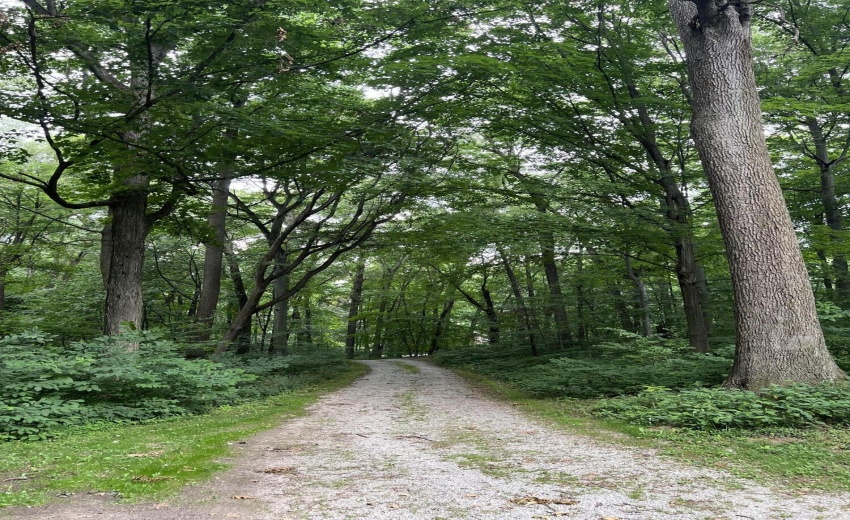 2EA1B873-D268-4F48-ADAC-630EB3A95808