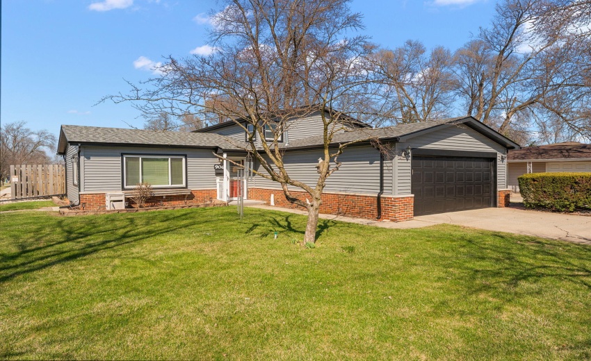 1-web-or-mls-DSC00619