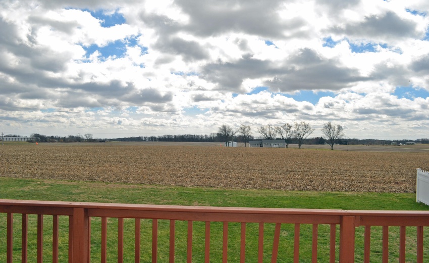 backyard view from deck