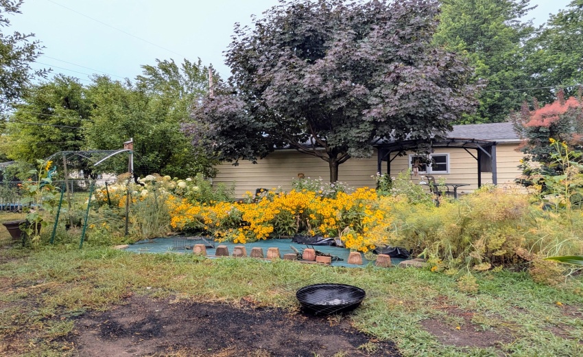 PXL_20250716_223720015.NIGHT.RAW-01.COVE