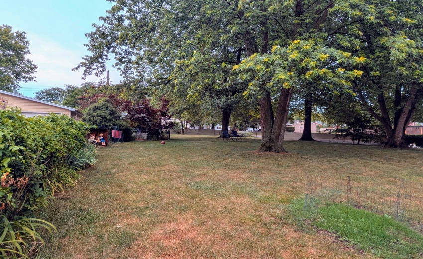 PXL_20250716_224423776.NIGHT.RAW-01.COVE