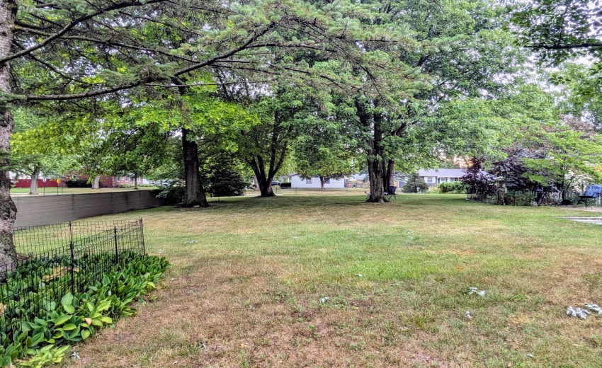 PXL_20250716_224544209.NIGHT.RAW-01.COVE