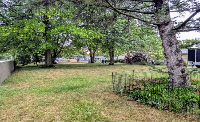 PXL_20250716_224517191.NIGHT.RAW-01.COVE