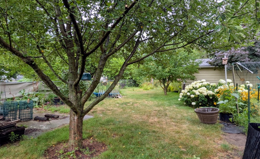 PXL_20250716_223804379.NIGHT.RAW-01.COVE