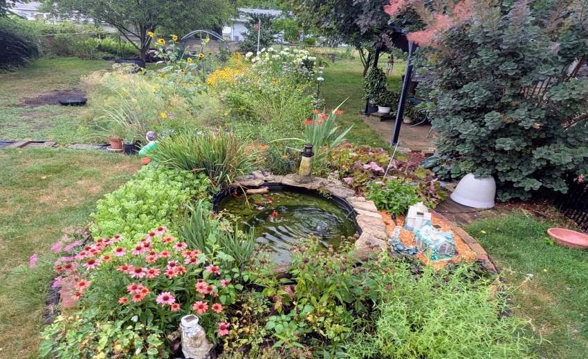 PXL_20250716_224148381.NIGHT.RAW-01.COVE