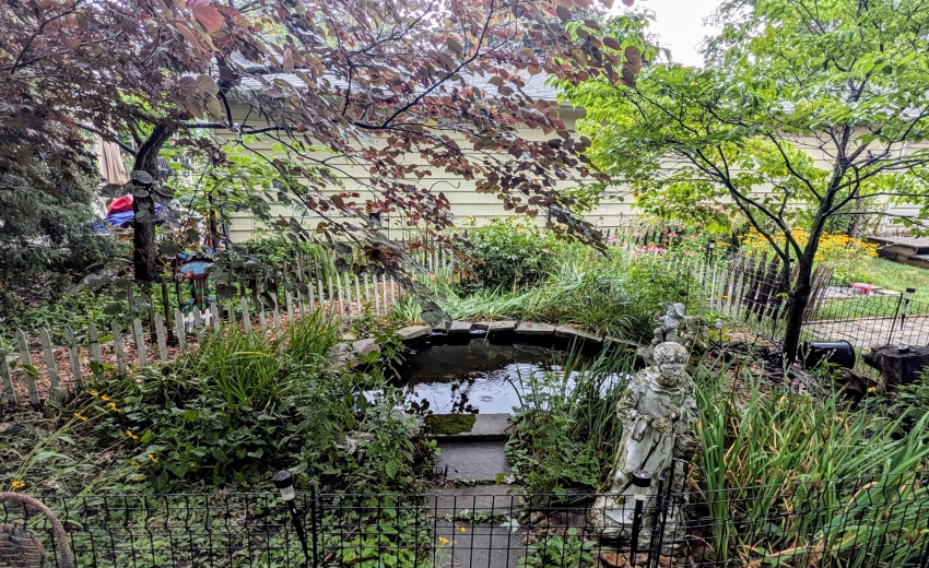 PXL_20250716_224700797.NIGHT.RAW-01.COVE