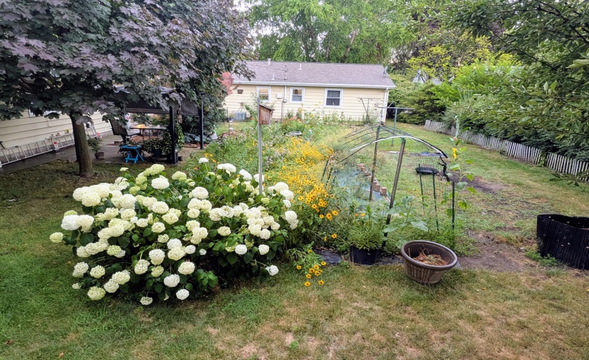 PXL_20250716_224056631.NIGHT.RAW-01.COVE