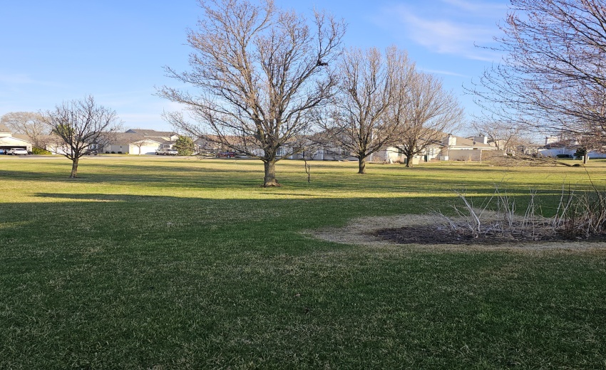 view from back of house, no neighbors ri