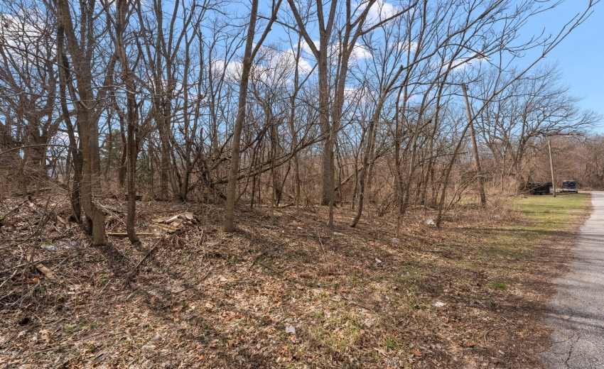 14-web-or-mls-DSC00966