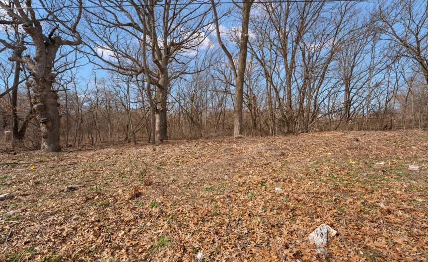 16-web-or-mls-DSC00972