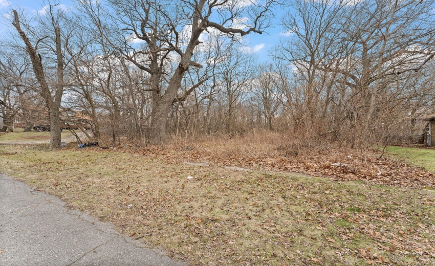 1-web-or-mls-DSC08621