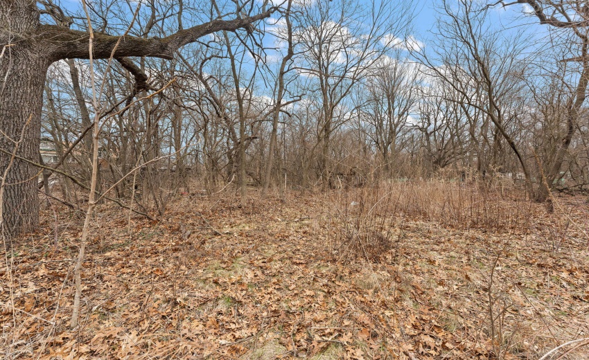 3-web-or-mls-DSC08627