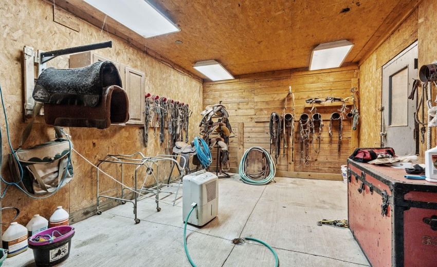 42-web-or-mls-IMG_2203