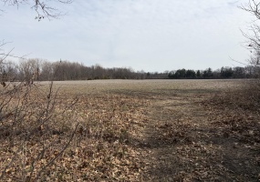 2955 800 South, North Judson, Indiana, ,Land,For Sale,800 South,NRA836068 2955 800 South, North Judson, Indiana, ,Land,For Sale,800 South,NRA836068