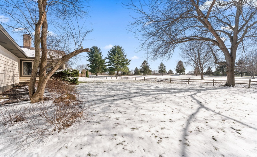 39-web-or-mls-DSC09311