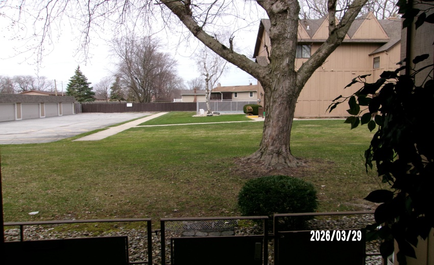 Back Yard and Clubhouse