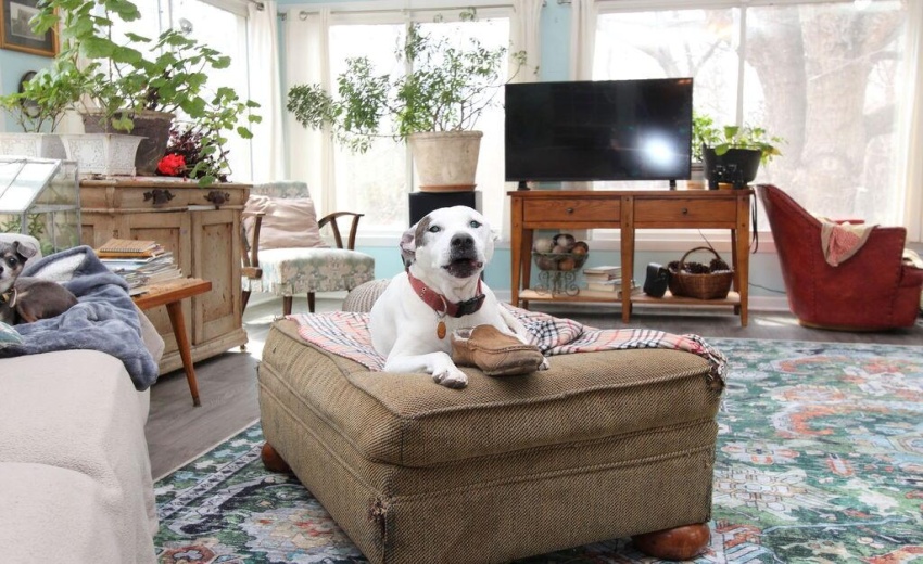 1392 W 300 North doggy